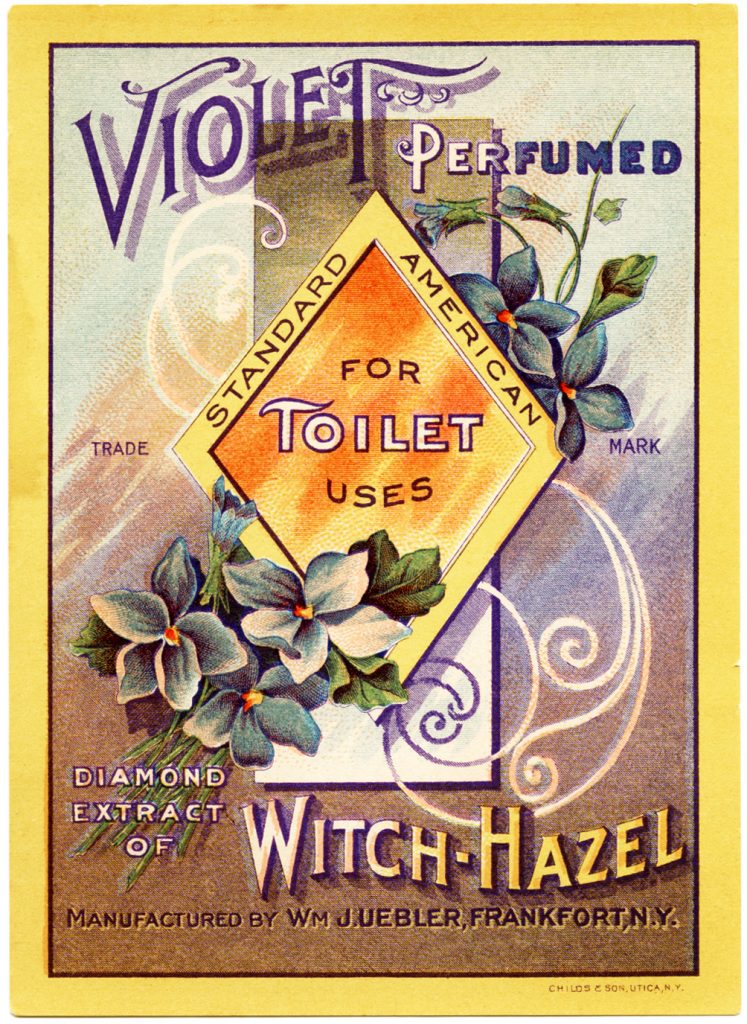 Uses for Witch Hazel