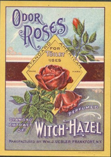 Uses for Witch Hazel