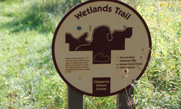 Let’s go to the wetlands