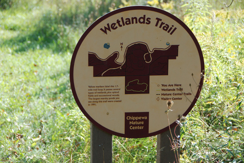 Let’s go to the wetlands